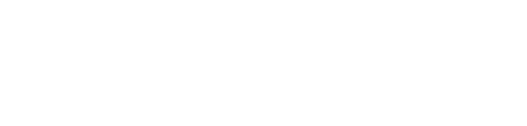 WITWINKEL Logo